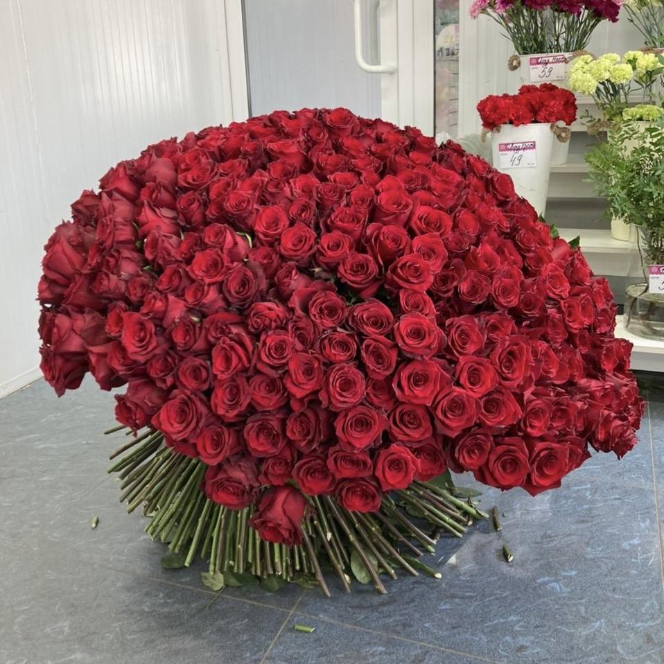 Букеты из красных роз 80 см (Эквадор) №  18180sch
