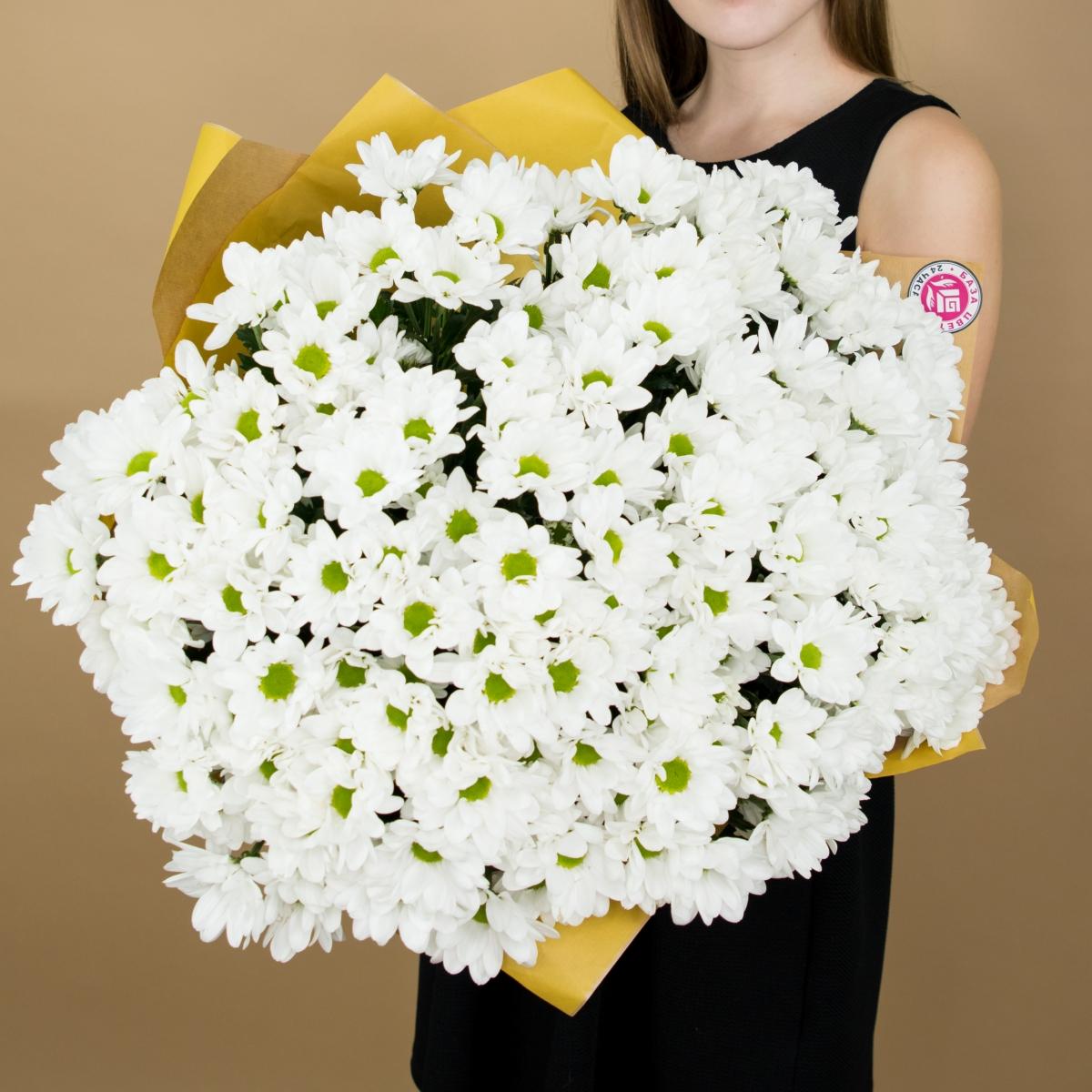 Хризантема белая (ромашка) Артикул  270
