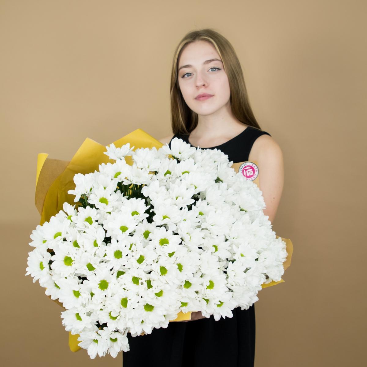 Хризантема белая (ромашка) Артикул  270