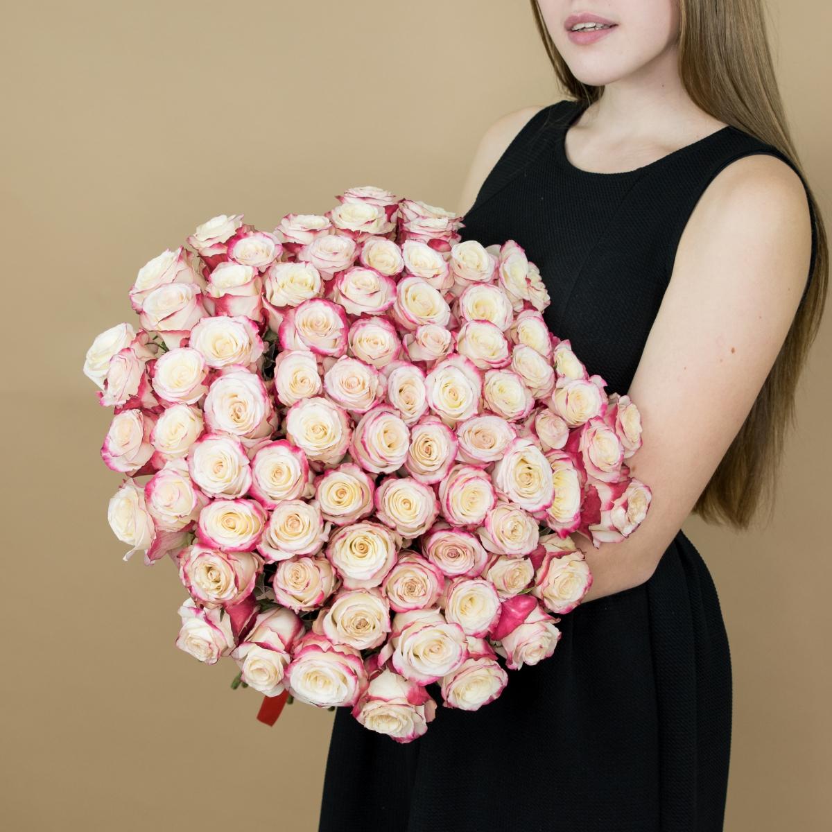 Розы красно-белые 101 шт. (40 см) код товара  8010sochi