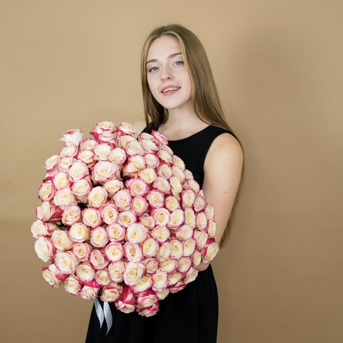 Розы красно-белые 101 шт. (40 см) код товара  8010sochi