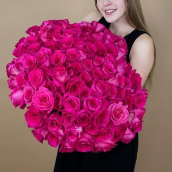 Букет из розовых роз 75 шт. (40 см) Артикул: 8085s