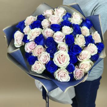 Белая и Синяя Роза 51шт 70см (Эквадор) код товара  10290